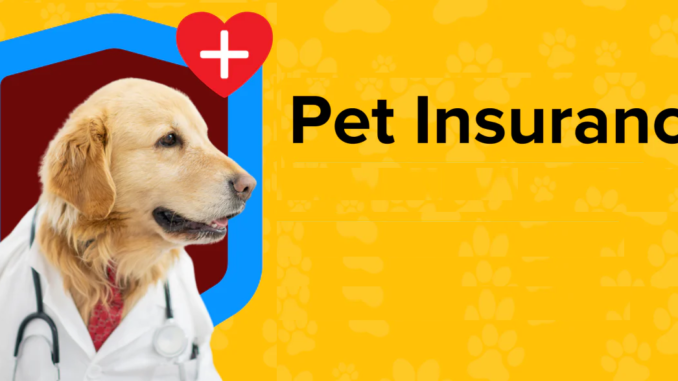 Pet insurance in UK